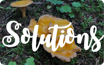 FuturePlanet_Website_Solutions_350x200